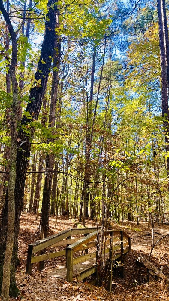 Yelp Image: William B. Umstead State Park